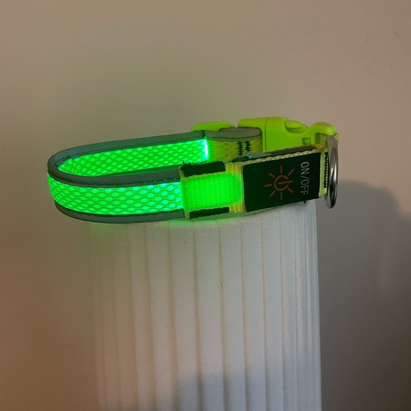 Lighted Dog Collar 3 Settings / USB Charging - Picture 8 of 9